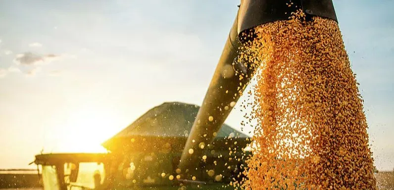 Força na Bahia: Agro cresce 4,2% e fecha 2023 com participação de 21,1% na economia
