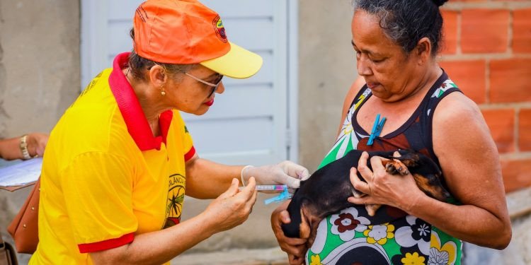 Campanha de vacinação antirrábica imuniza mais de 500 animais em Candeias