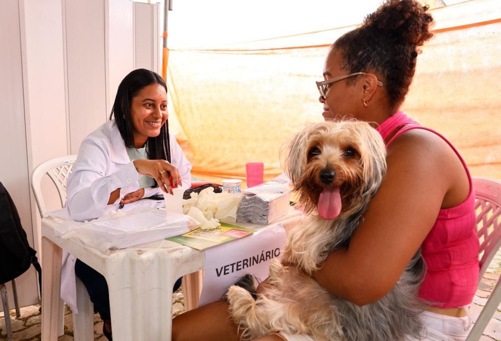 Candeias: Atendimento veterinário gratuito será realizado no distrito da Passé nesta quarta-feira (21)