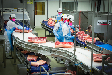 Empregos no Brasil: desemprego cai para 6,4% no 3º trimestre, o menor da série do IBGE para o período