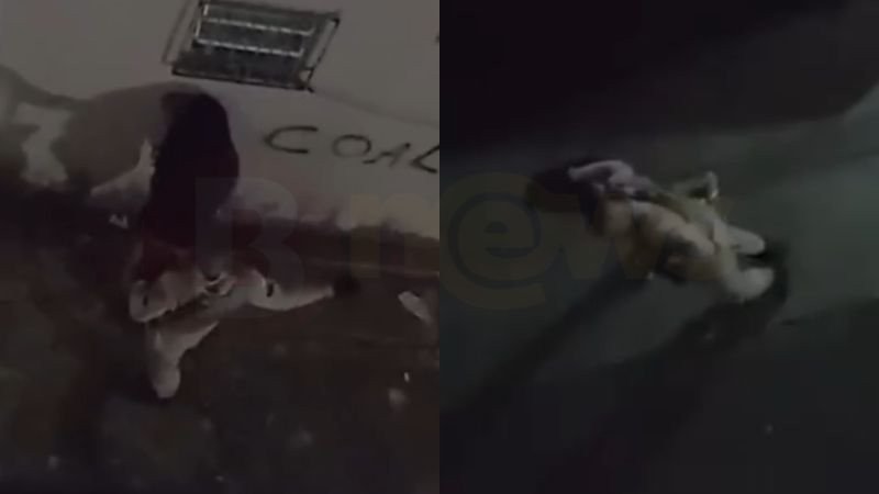 VÍDEO: Policial Militar agride e puxa mulher pelos cabelos em Porto Seguro; Batalhão se manifesta