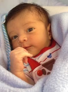 Entre o Consolo e o Alerta: Bebês Reborn e os Limites da Saúde Mental