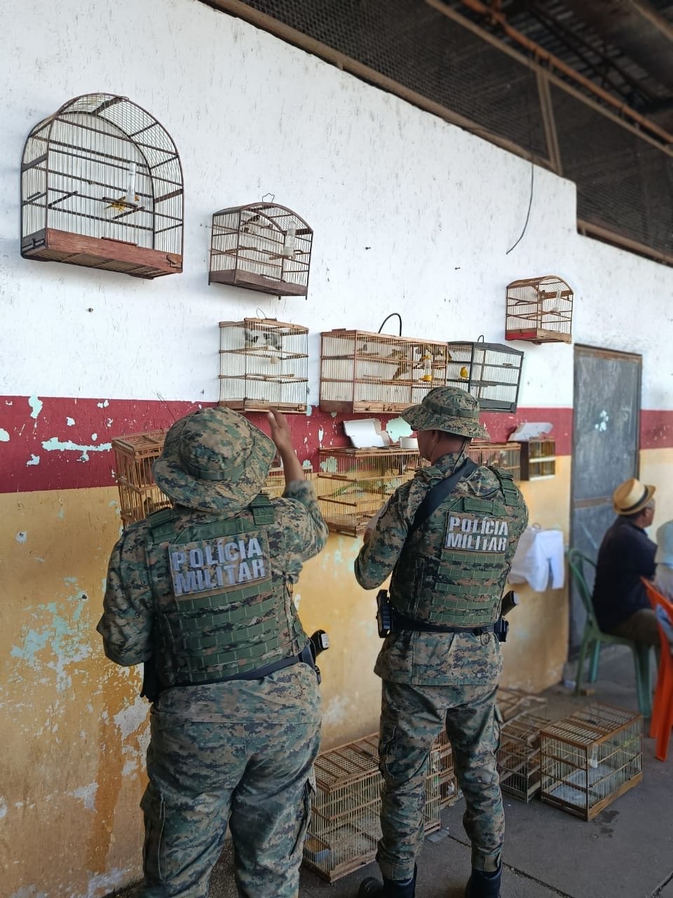 PM resgata 77 aves silvestres em Candeias