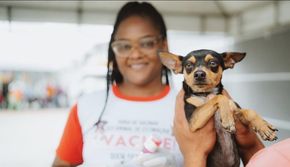 São Sebastião do Passé: Campanha de vacinação antirrábica vai até o dia 30 de setembro