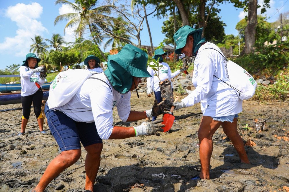 RMS: Mutirões retiram 3,5 toneladas de lixo e recuperam manguezais