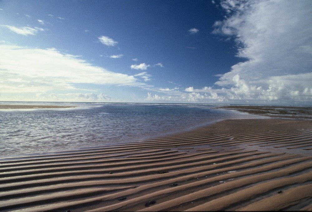 Bahia ultrapassa Rio e lidera preferência dos paulistas, aponta pesquisa