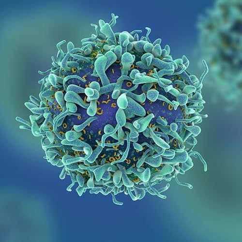 Vacina anticâncer de pulmão será testada em humanos pela primeira vez em 2026