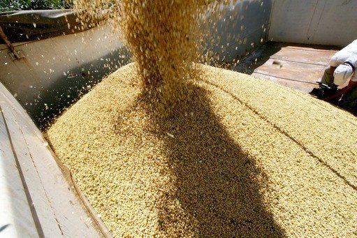 Economia baiana cresce 1,9% no segundo trimestre de 2017