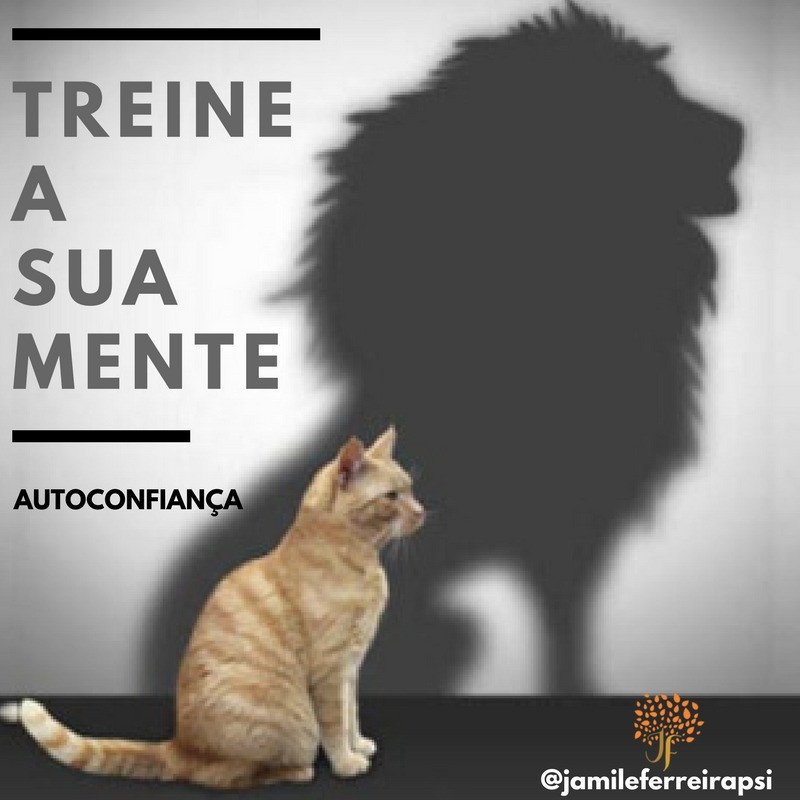 Treine a sua mente: A Psicóloga Candeense Jamile Ferreira, ensina como desenvolver a autoconfiança