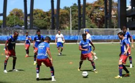 Bahia busca vencer o Vasco na Fonte Nova