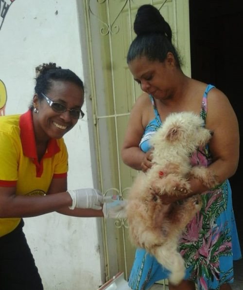 Prefeitura realiza campanha de vacina antirrábica no município