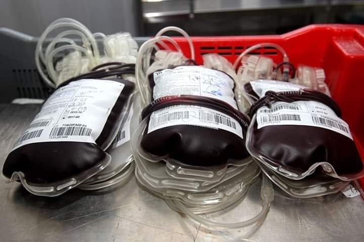 Candeias: Obras Sociais do Santuário(Oscan) promove campanha para doação de sangue neste sábado (24)