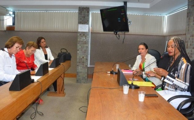 COMISSÃO LUTA PARA AMPLIAR REDE DE ENFRENTAMENTO À VIOLÊNCIA CONTRA A MULHER