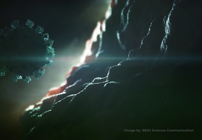 Cientistas identificam como o novo coronavírus invade células humanas