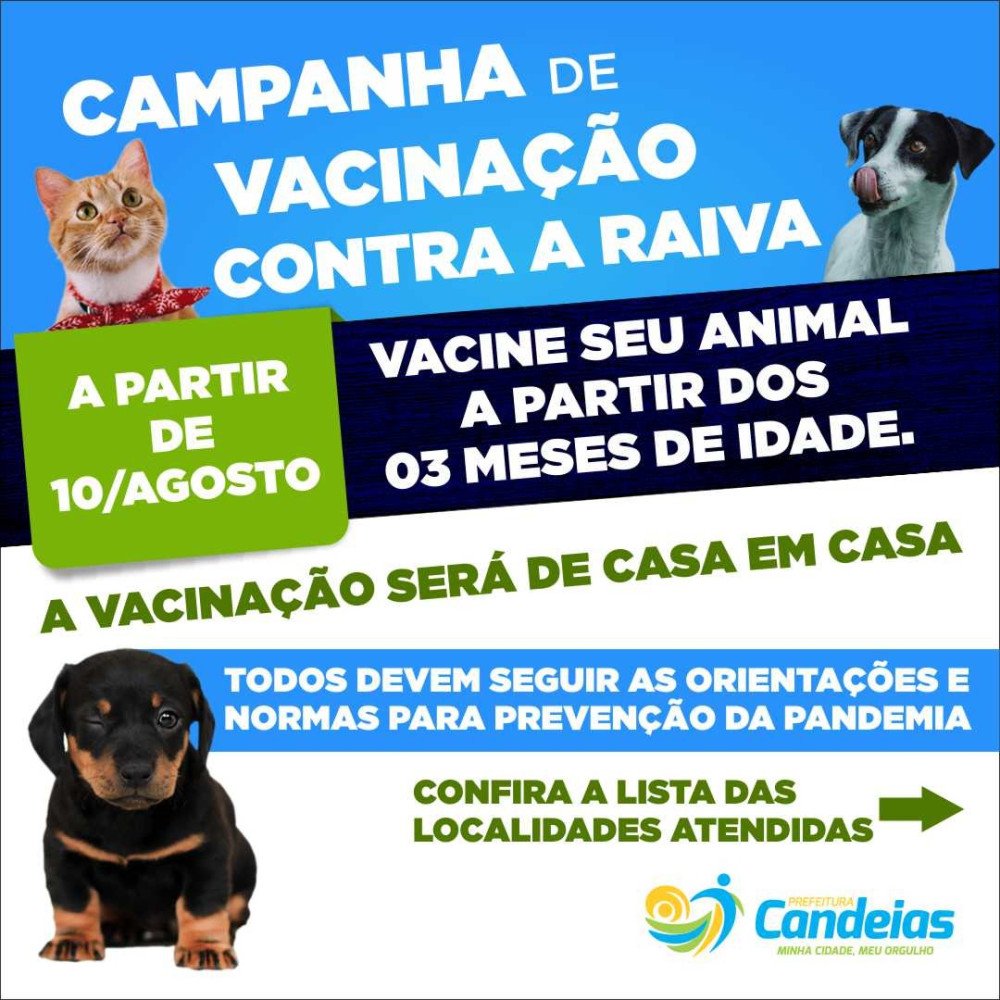 Campanha de vacinação antirrábica começa dia 10 de agosto