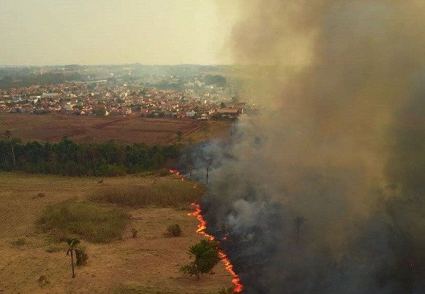 Em diligência no Pantanal, senadores dizem que cenário é devastador