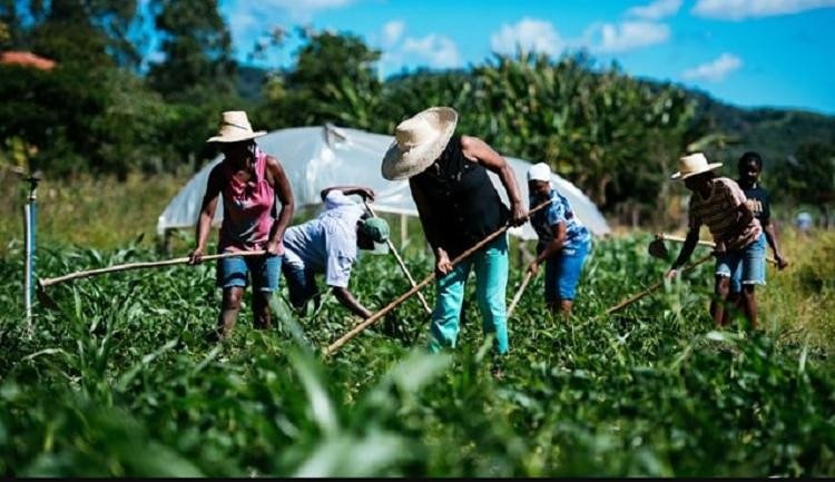 Cooperativismo, o modelo do futuro na Bahia, é agora