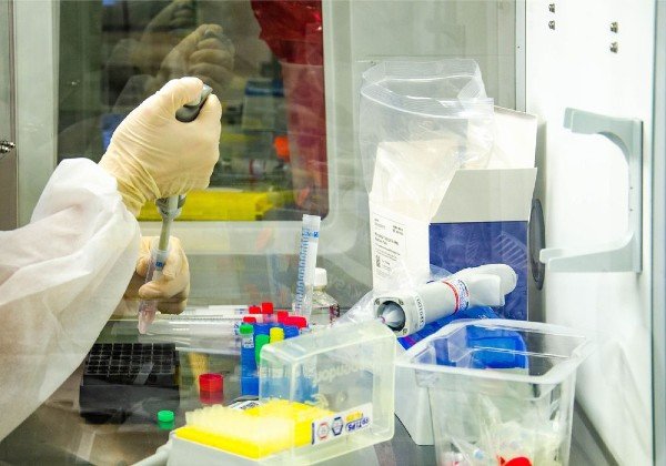 Anvisa aprova importação de 2 milhões de doses da vacina de Oxford