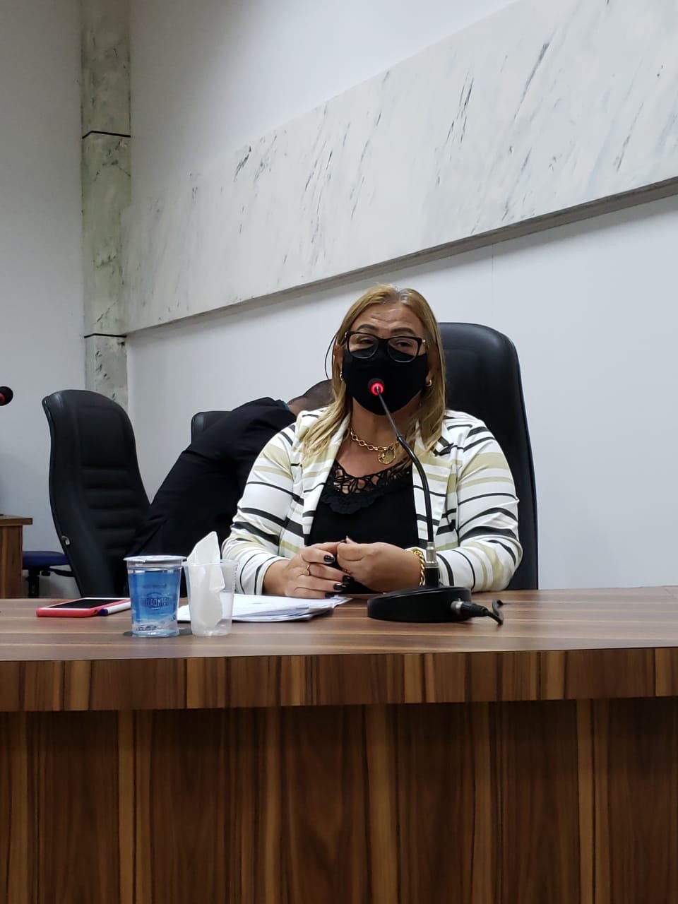 Rita Loira pede criação de disk denúncia municipal contra maus tratos aos animais.