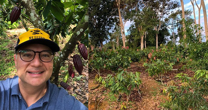TEMOS QUE AJUDAR PRODUTOR A MUDAR MATRIZ GENÉTICA DO CACAU, PROPÕE VILAS-BOAS