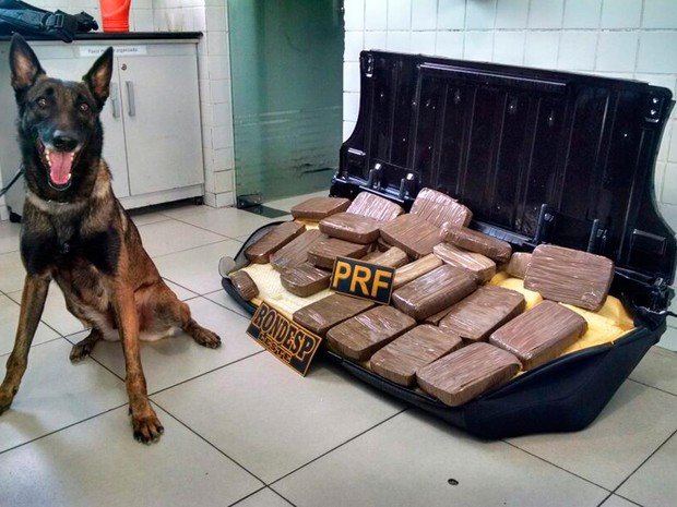 Droga é encontrada dentro de carro em caminhão-cegonha na Bahia