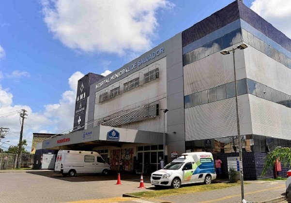 Mortes por infecção no cérebro não tiveram relação com a vaca louca