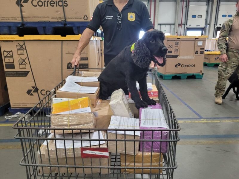 Cadelas encontram maconha, cocaína e ecstasy em encomendas do Correios