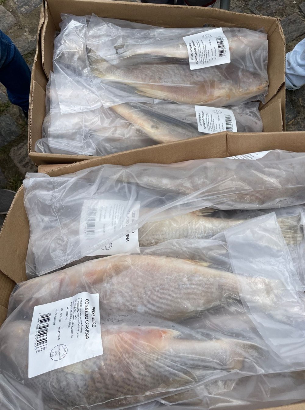 PREFEITURA DE BASTIÃO EMITE NOTA SOBRE ENTREGA DE PEIXES