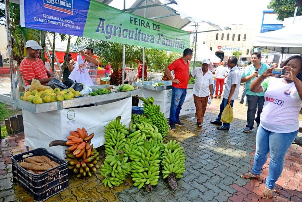 Semana do trabalhador realiza diálogo dos jovens no mercado de trabalho nesta quinta