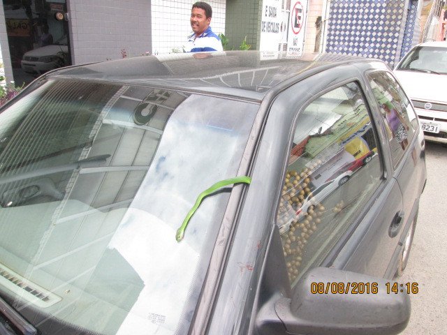 Candeias: Cobra em carro assusta motorista e transeuntes na Praça Tiradentes