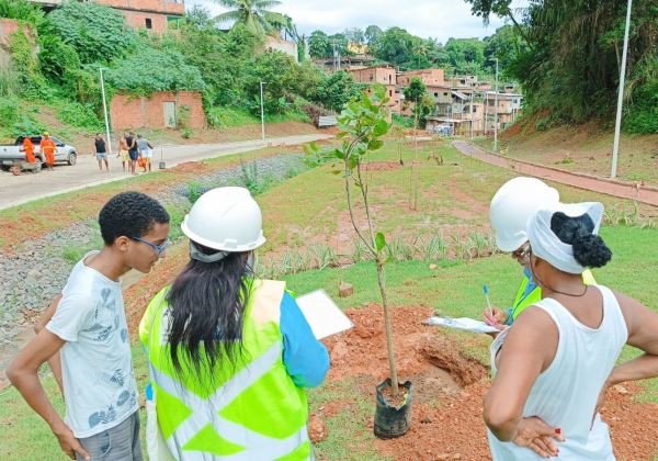 Novo Mané Dendê realiza plantio de mais de 200 mudas de árvores no Subúrbio Ferroviário