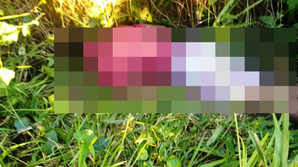 Candeias: O corpo de um homem foi encontrado em Caboto