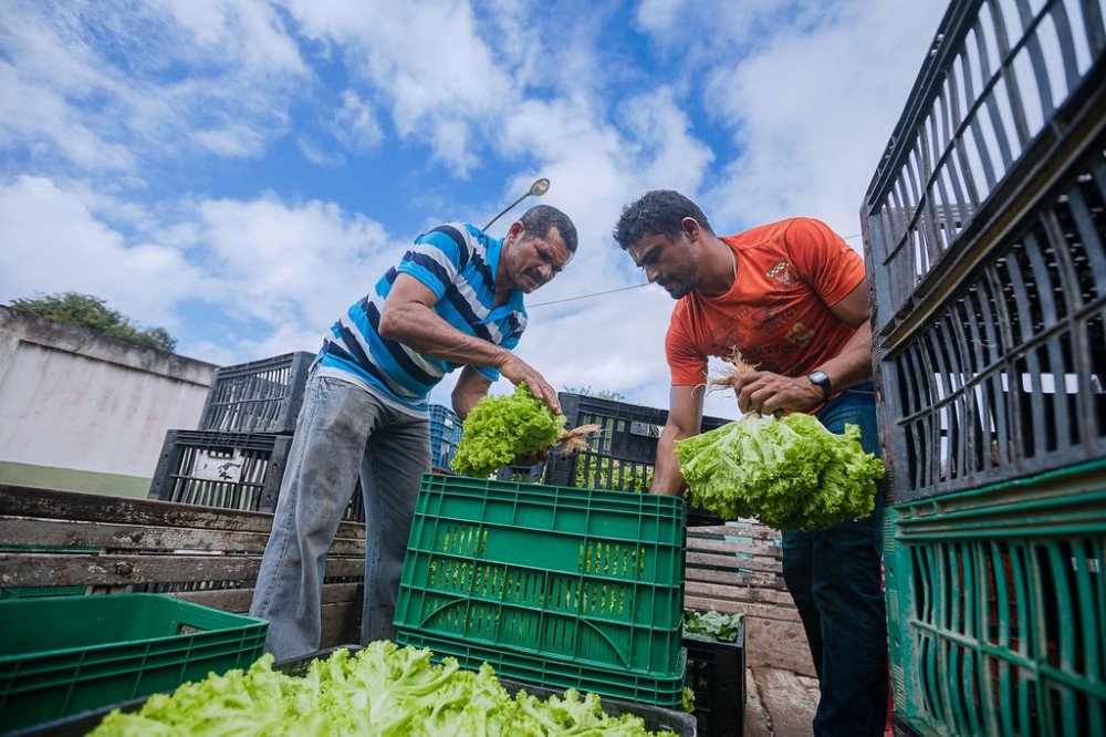Camaçari: Sedap compra mais 18 toneladas de alimentos na próxima segunda (14)
