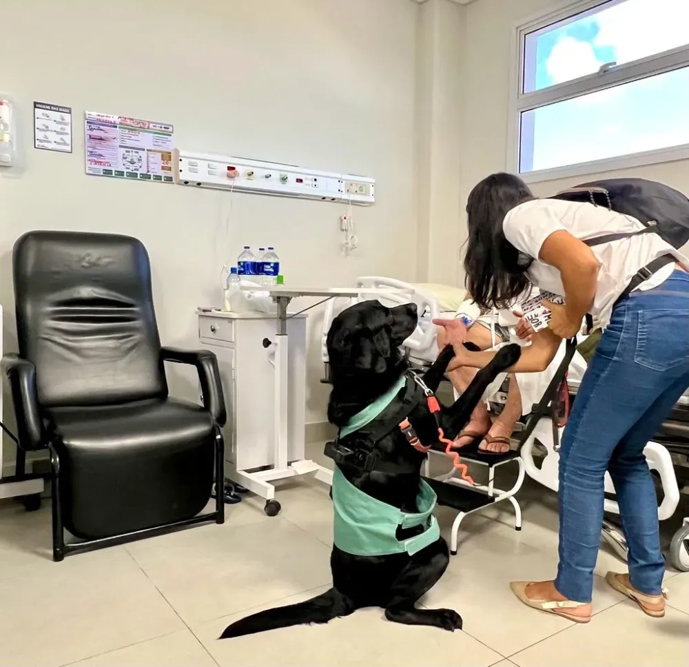 Hospital Metropolitano implanta Intervenção Assistida por Animal